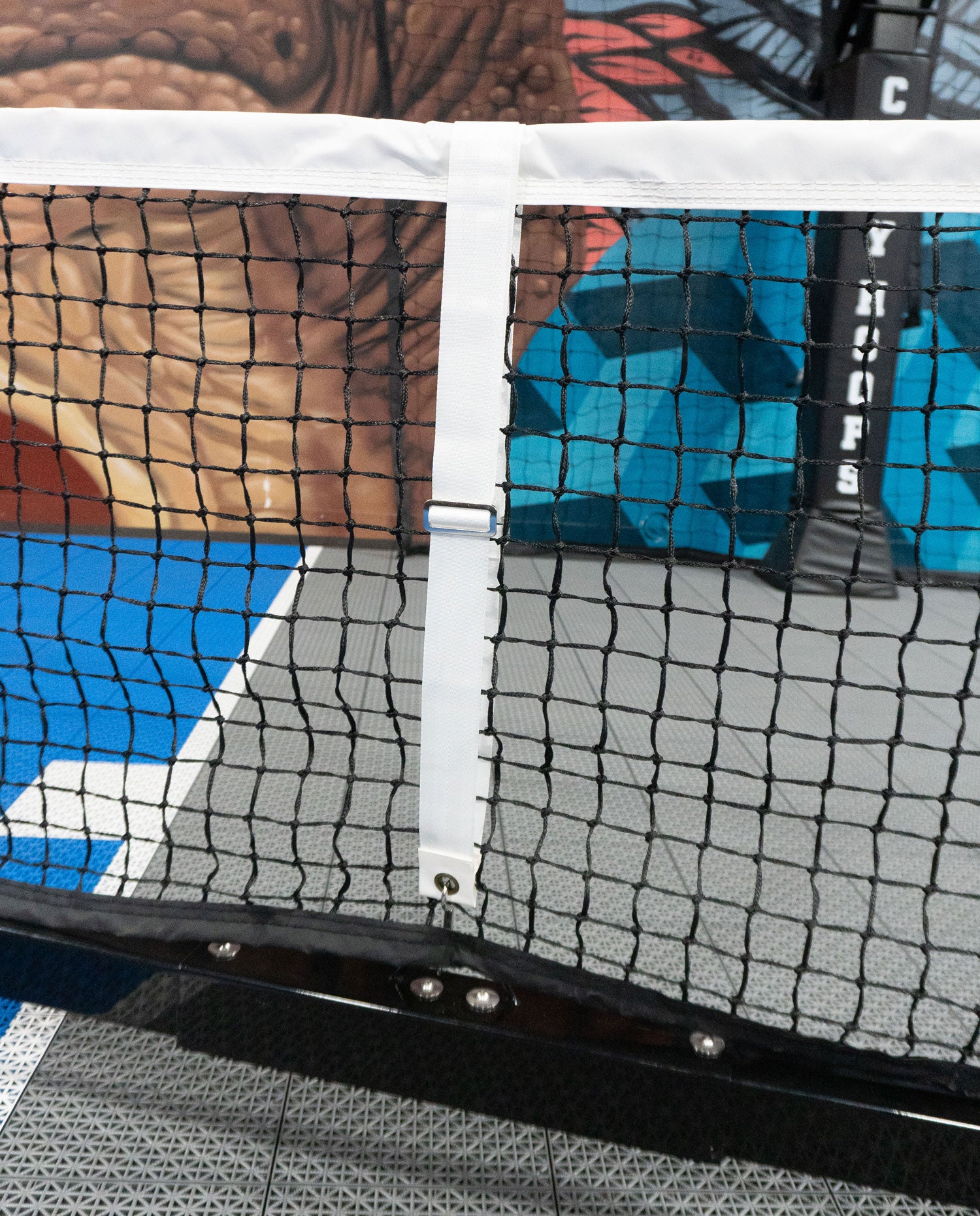 EIGHTYNINE Sports - Professional Portable Pickleball Net System - DIY Court Canada
