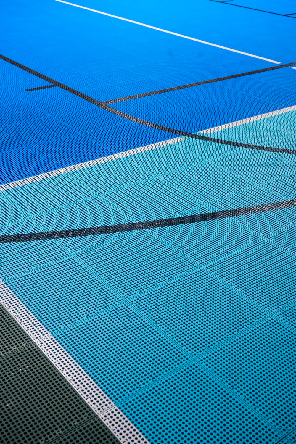 Volleyball Lines