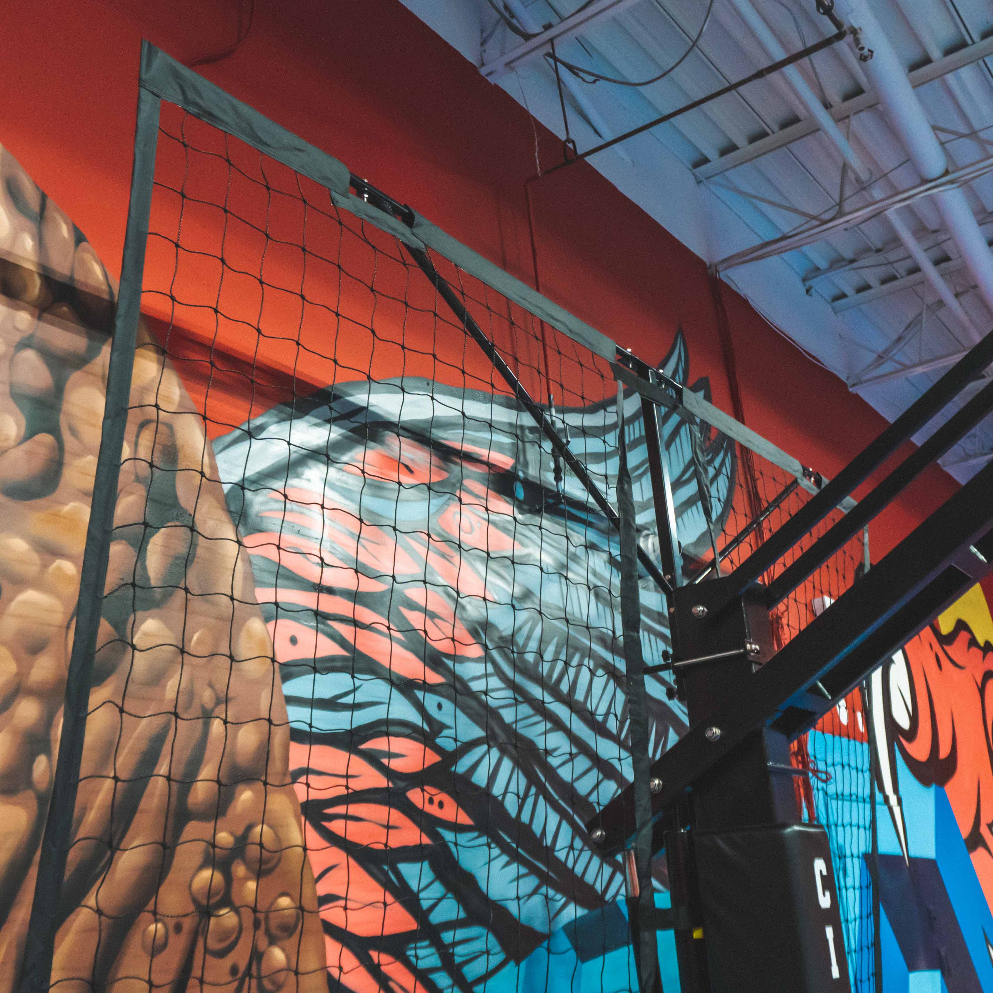 CITY HOOPS - Basketball Backstop Netting System - DIY Court Canada