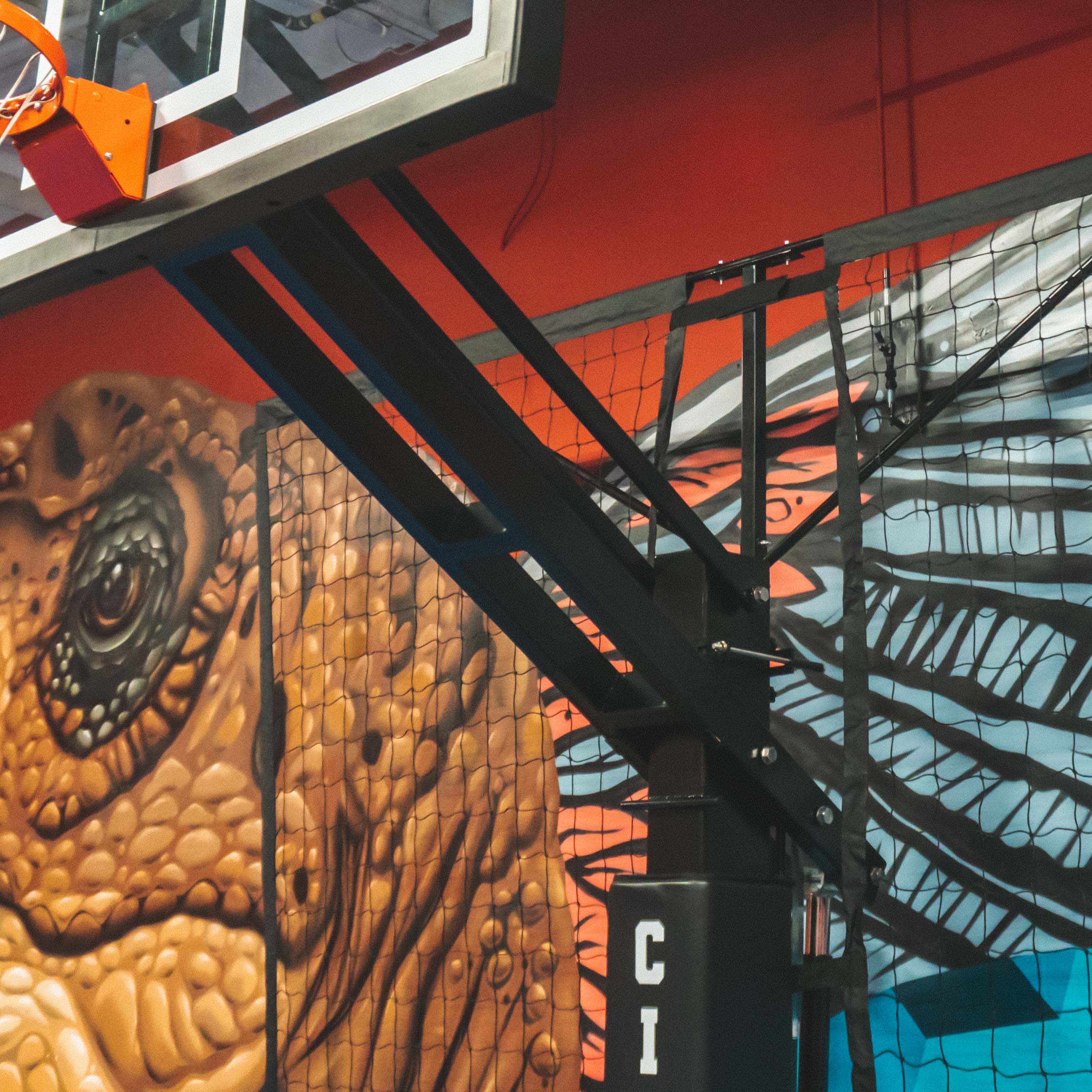 CITY HOOPS - Basketball Backstop Netting System - DIY Court Canada